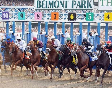 free past performances horse racing|PPs .